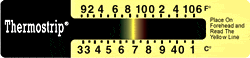 Thermal Scanner